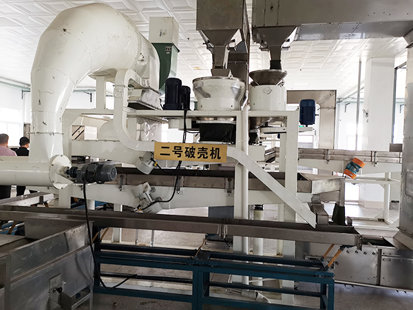 Walnut shelling machine