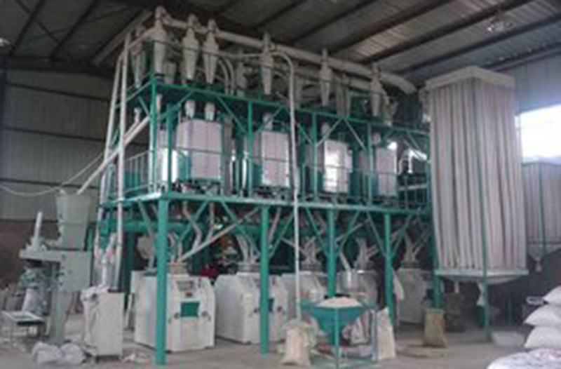 A daily processing unit for 80 tons of wheat flour